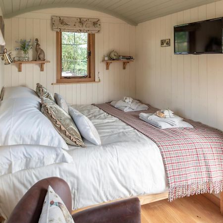 Padarn'S Hut Villa Llanbadarn Fynydd Kültér fotó